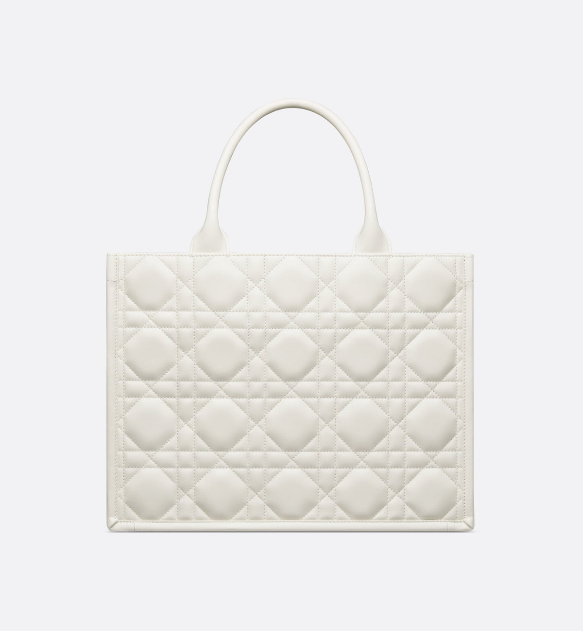 Dior Book Tote media