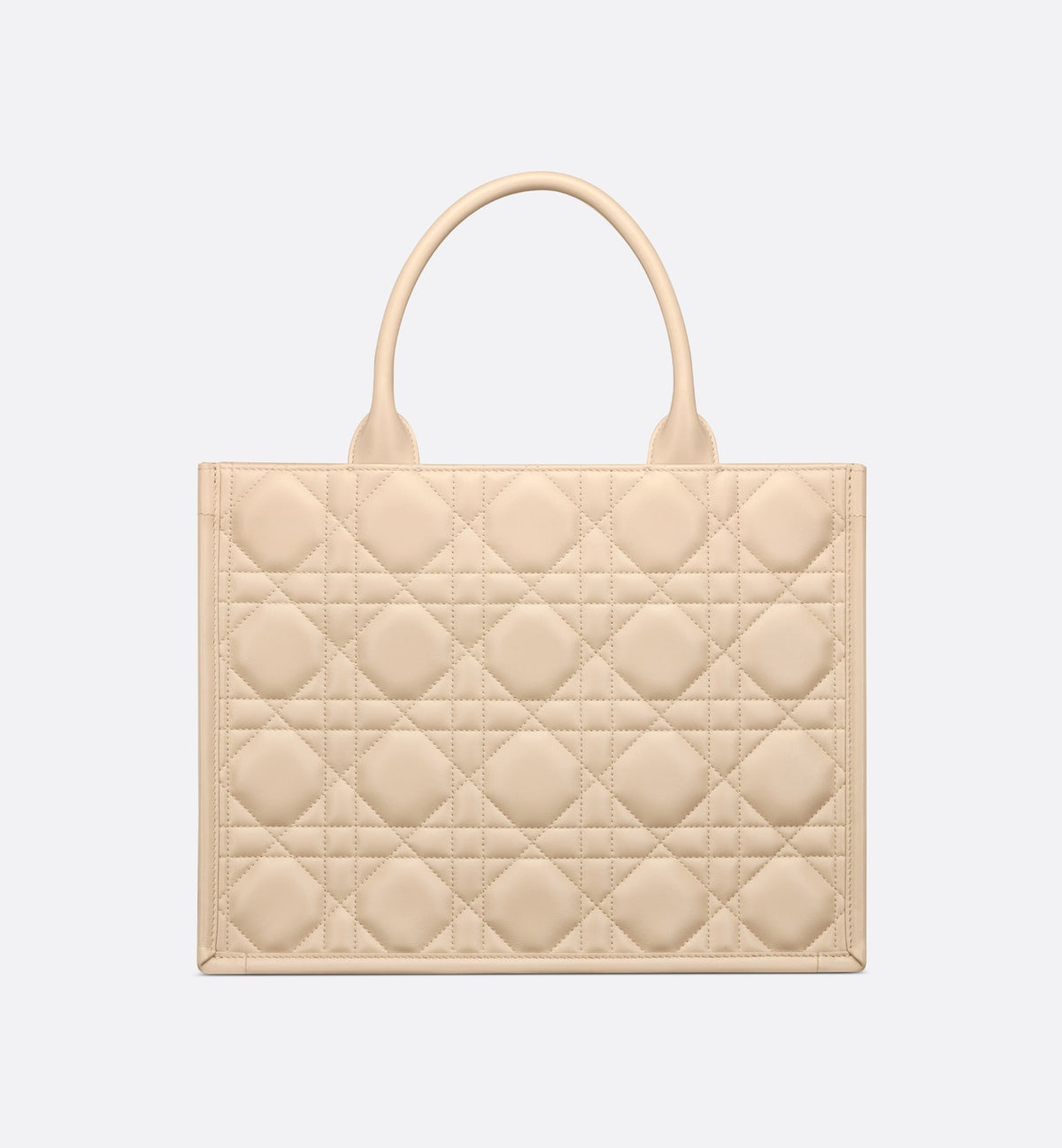 Dior Book Tote media