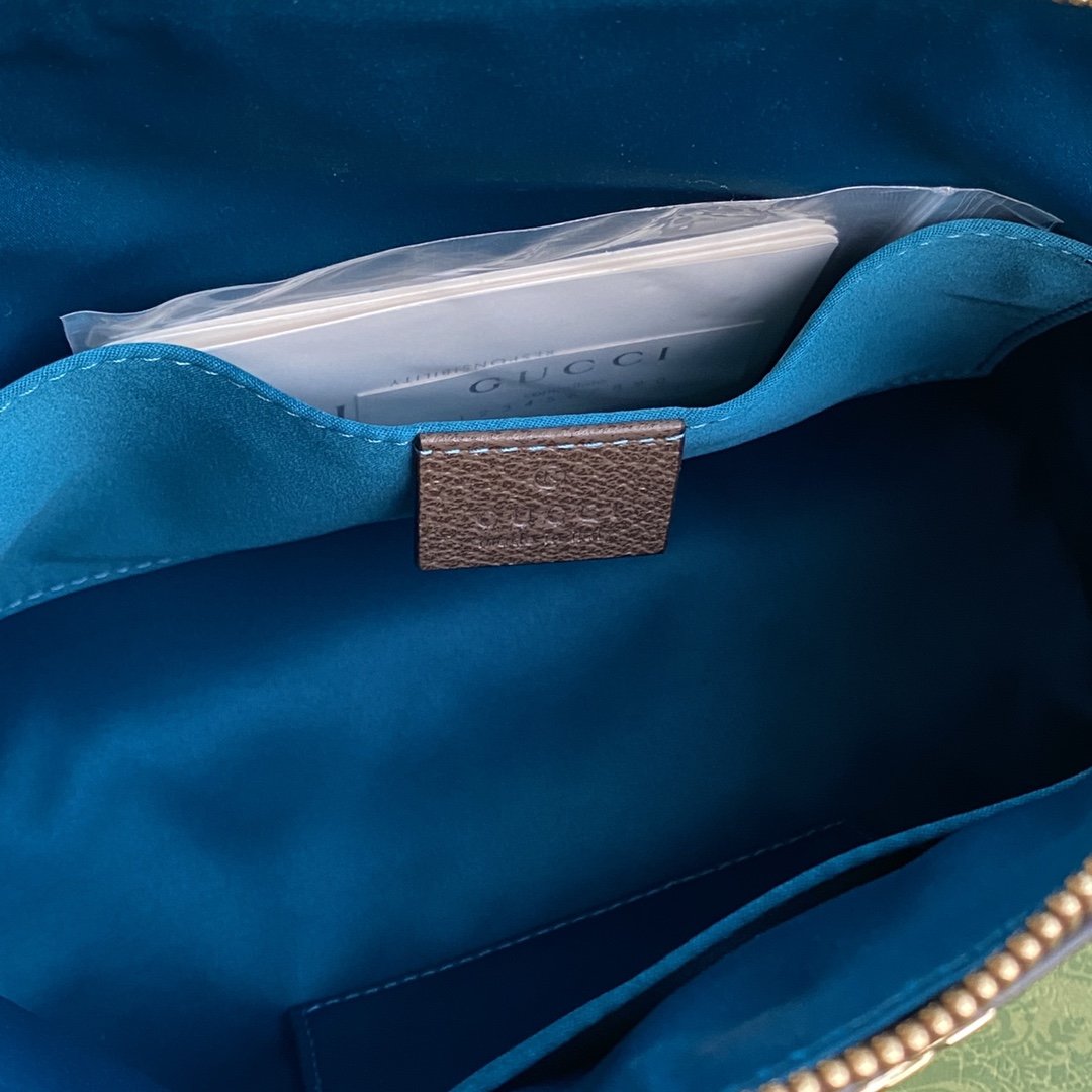 Fashion Alma Gucci Ophidia Bag