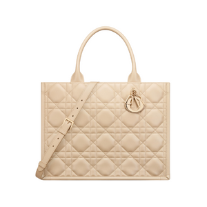 Dior Book Tote media